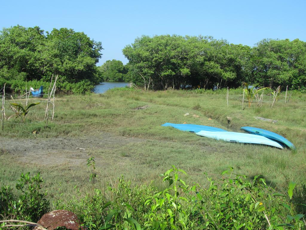 Peacock Land Ξενοδοχείο Tangalle Εξωτερικό φωτογραφία
