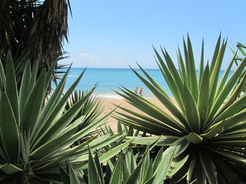 Peacock Land Ξενοδοχείο Tangalle Εξωτερικό φωτογραφία