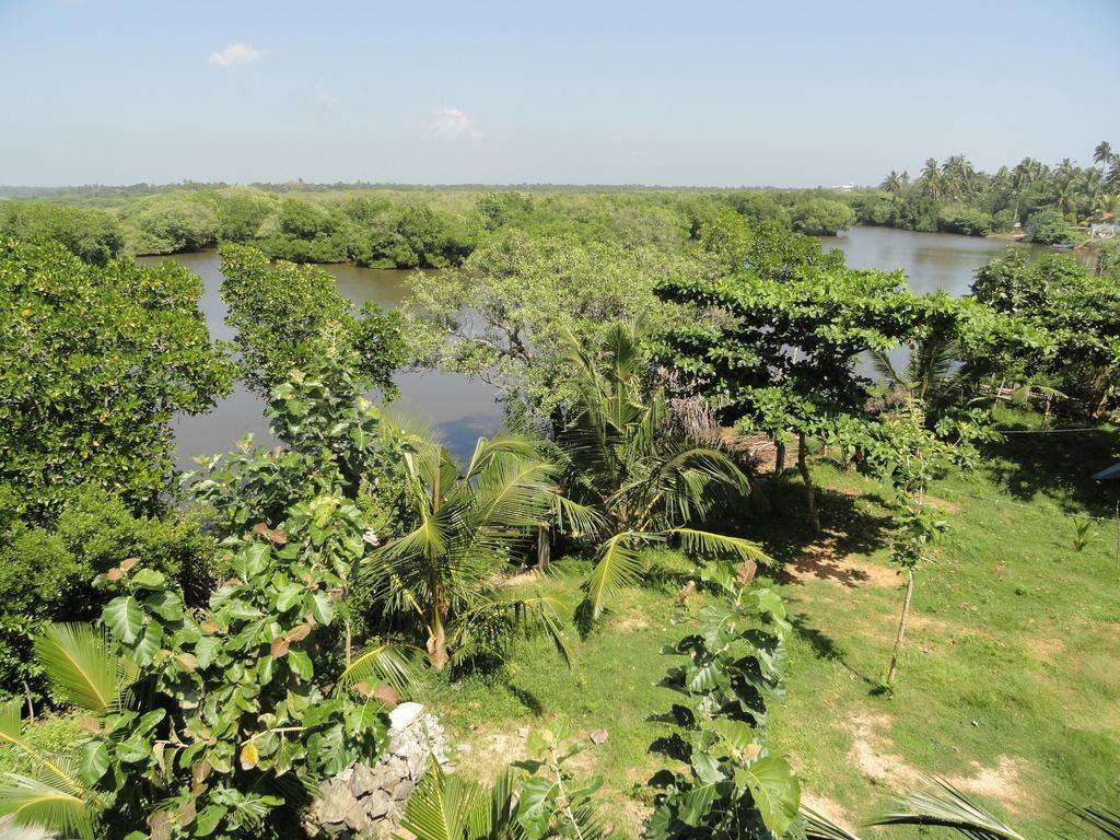 Peacock Land Ξενοδοχείο Tangalle Εξωτερικό φωτογραφία